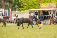 _AJG0986