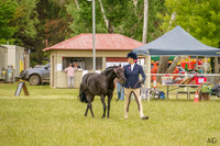 _AJG0993