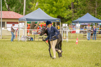 _AJG0994