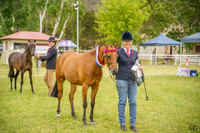 _AJG1085