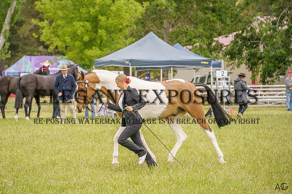 _AJG1177