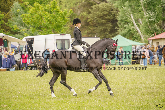 _AJG2010