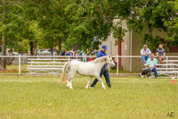 _AJG0944