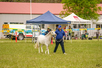 _AJG0957