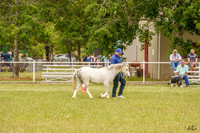 _AJG0943