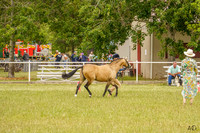 _AJG0989