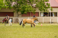 _AJG0991