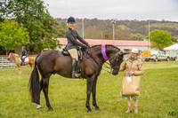 Bungendore Show - Show Horses - All Rings - 26.10.2025