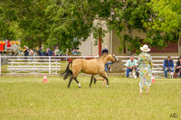 _AJG0990