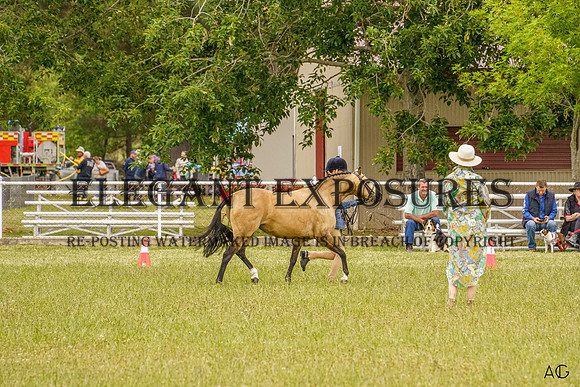 _AJG0990