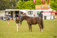 _AJG1034