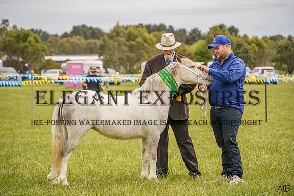 _AJG1452