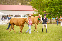 Bungendore Show - SH - Ring 3 - 26.10.2025