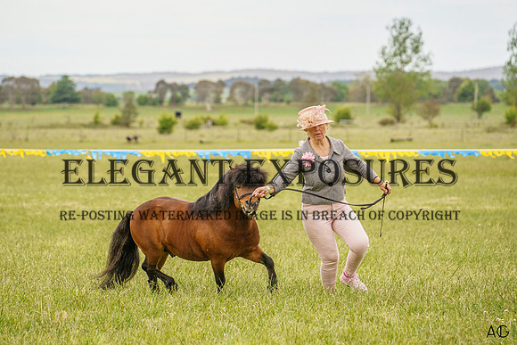 _AJG1029