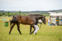 _AJG1054