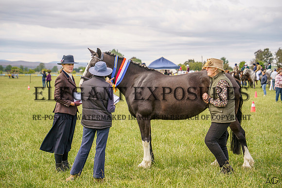 _AJG1564