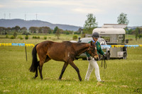 _AJG0973