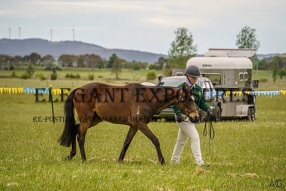 _AJG0973