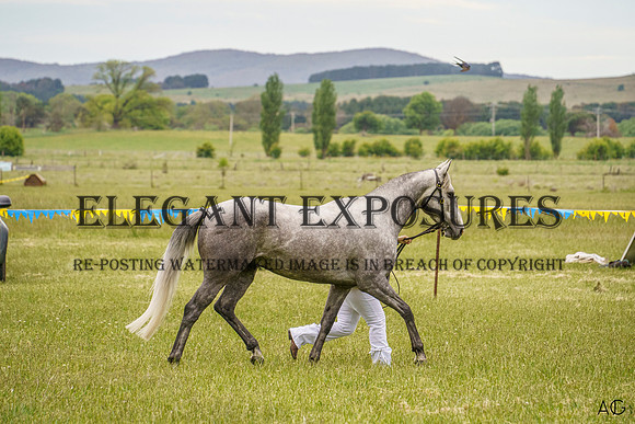 _AJG1192