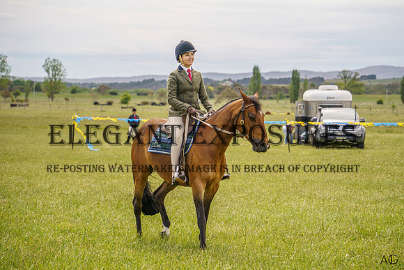 _AJG1578