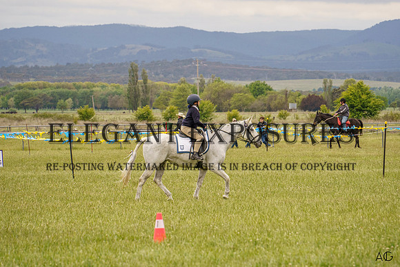 _AJG2273