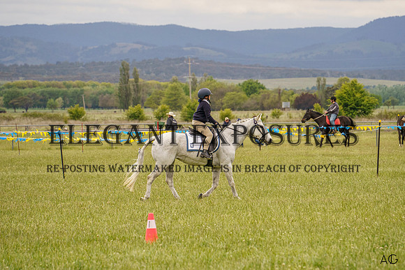_AJG2274