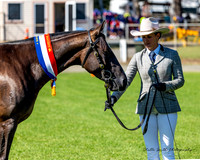 Nowra Show - Ring 1 - 07.02.2025