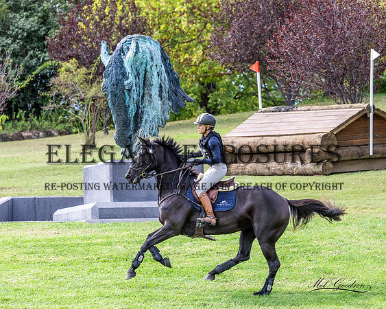 _KGX1315