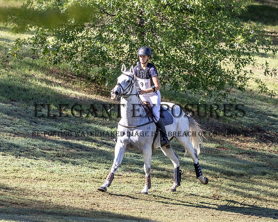 _KGX0363