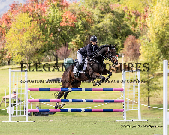 MAS_6240