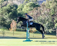 MAS_4262