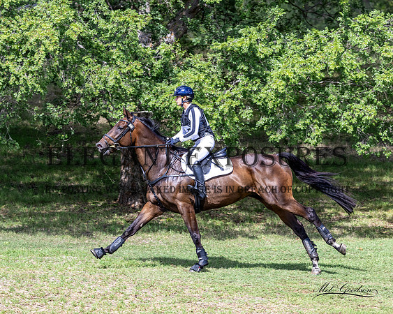 _KGX1797