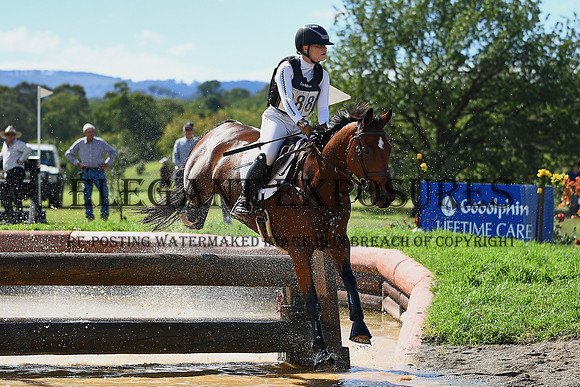 RII_2673