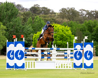 Showjumping