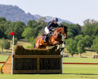 Scone HT - XC - CCN1*