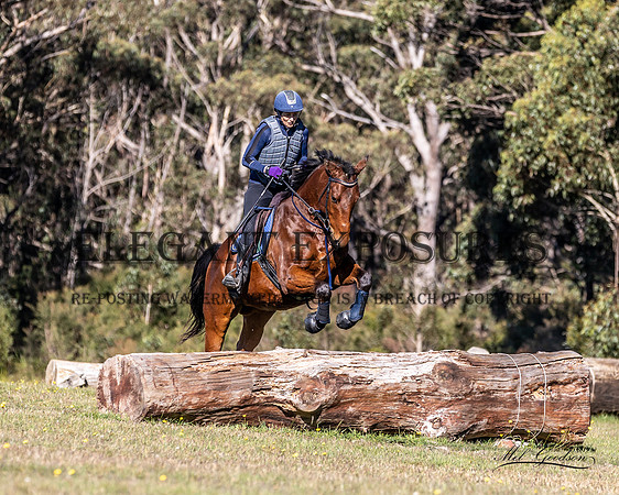 MKG_2295