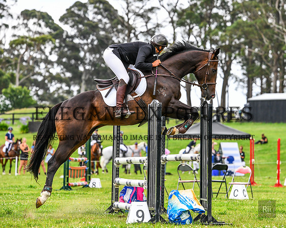 RII_1285