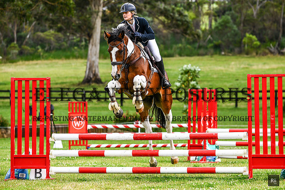 RII_0466