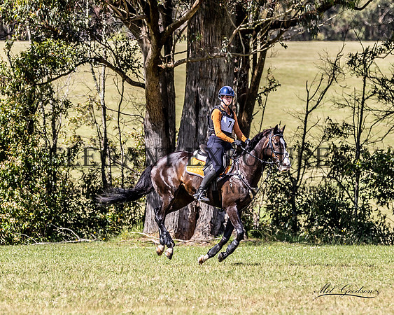 MKG-7288