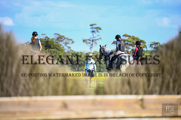 RII_0132