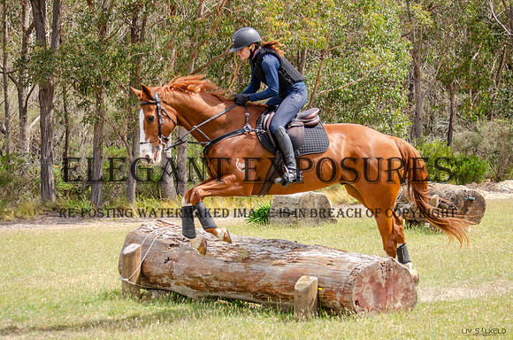 OLS_3636