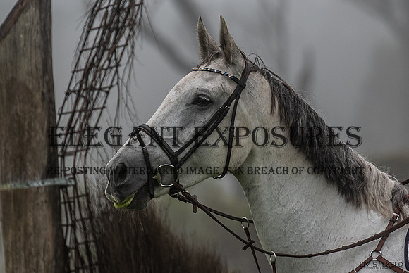 OLS_0038