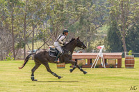 _AJG1795