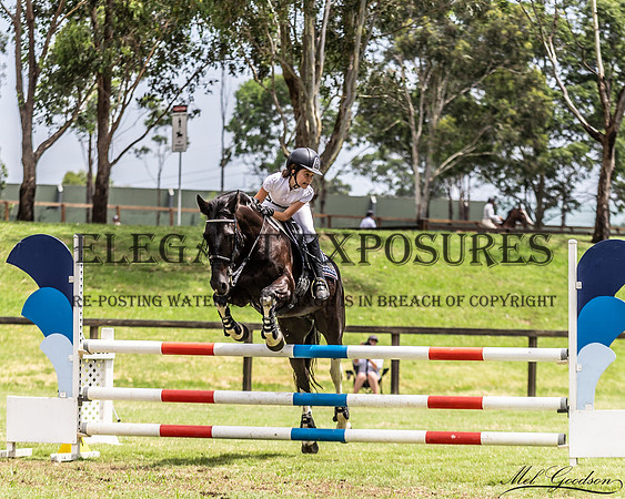 MKG_5321
