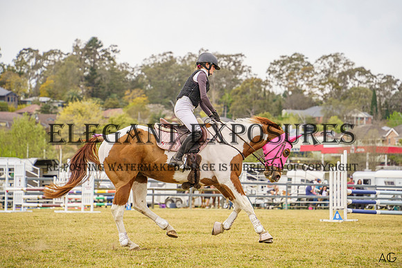 _AJG3960