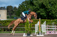 OLS_3209