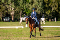 OLS_2595