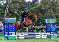 Showjumping - 14.11.2021