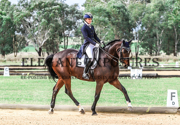 MKG-7036