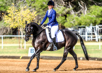 Young Dressage Assoc. Sunday - Arena 1 - 11.04.2021